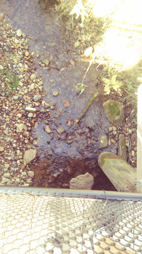 Contract Dewatering Services Inc. - Thumbnail