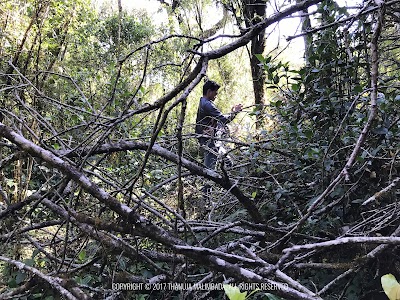 Photos of Thotupola Mountain of Sri Lanka