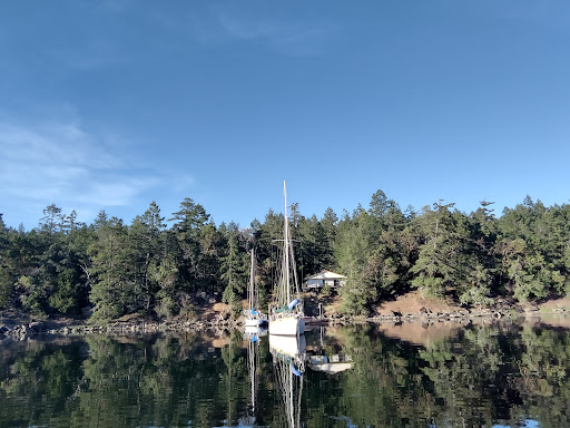 Chivers point, Campsite. - Thumbnail