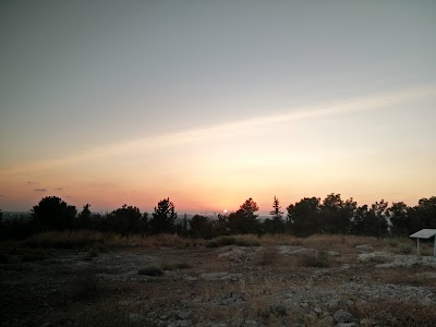 Photos of Site frank