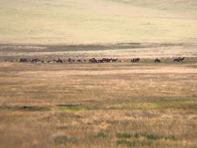 Valles Caldera Entrance Station