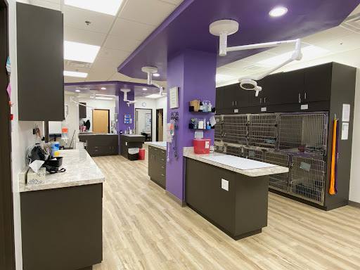East Valley Urgent Pet Care