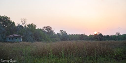 Willow Lakes - Visual