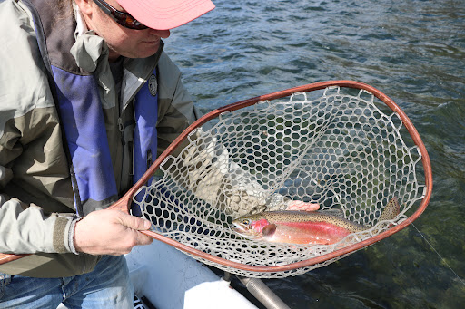 We Sport Fish Gallery - Canada