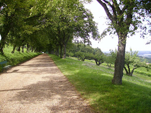 Photo n°3 de Groupe FIRALP à Lachassagne (Société de travaux publics)