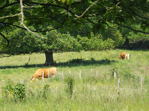 Photo n°4 de TOUR DE CLEFS IMMOBILIER à Chasseneuil-sur-Bonnieure (Agence immobilière)