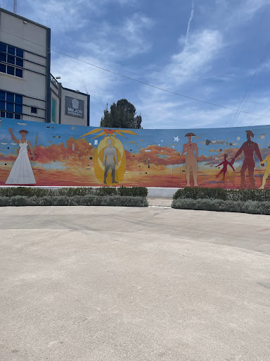 COMISARÍA GENERAL DE SEGURIDAD Y TRÁNSITO MUNICIPAL - Mexico