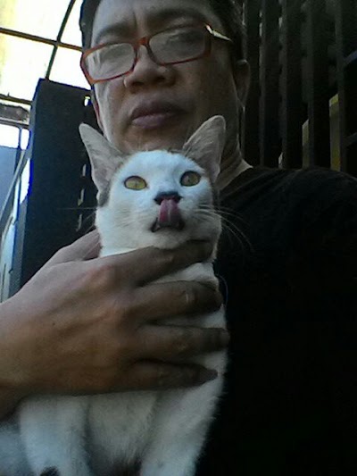 Photos of Zyo Love Cats