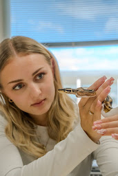 Photo n°16 de Groupe Belmont Avignon - Formation Post Bac & Professionnelle en Alternance à Avignon (Établissement d'enseignement professionnel)