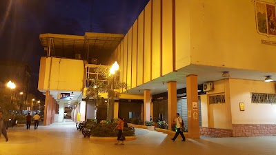local-government-office