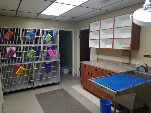 Harvest Hills Veterinary Hospital Gallery - United States