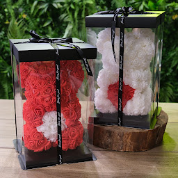 Photo n°9 de Art Végétal | Fleuriste Corbas à Corbas (Service de plantes d'intérieur)