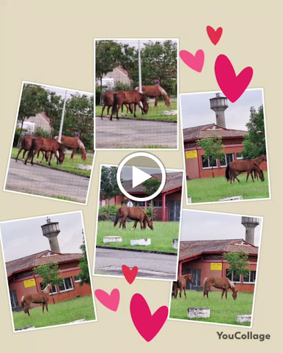 Photo 2 - Gontran Thi-Dinh (le petit dragon)