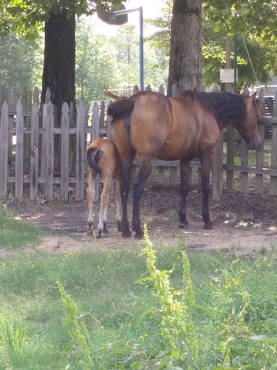 Bar-J Ranch