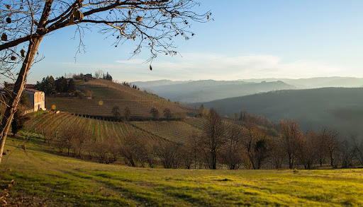 Agriturismo Minaldo Gallery - Italy