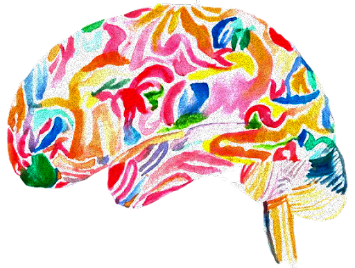 Engage Therapy and Wellness: Physical, Occupational, and Speech Therapy