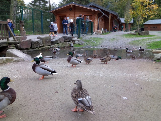 Lindenthaler Tierpark