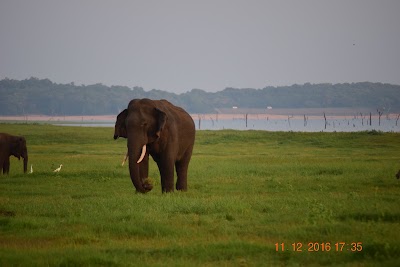 Photos of Explore Lanka Travels