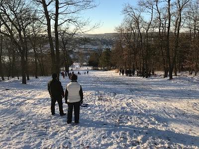 Photos of Ски писта вълчи дол