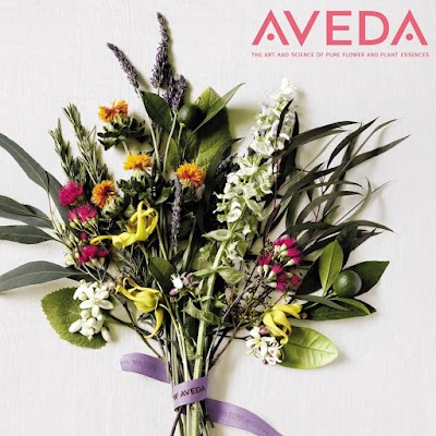 DAS Rimrock Aveda & L