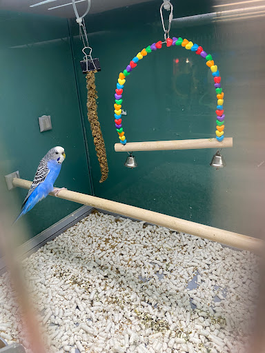 Pet Supplies Plus Upper Arlington - Thumbnail