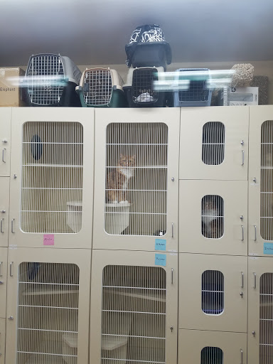 Pets in Paradise Resort LLC - Thumbnail