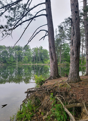 Dansville Reservoir - Thumbnail