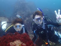 エントリーダイビングスクール