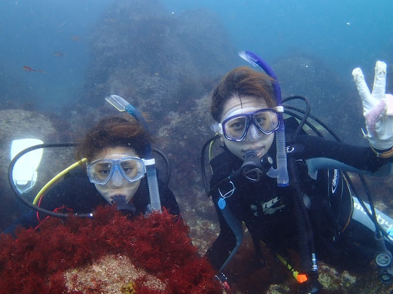 エントリーダイビングスクール