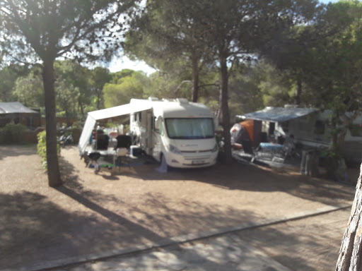 Autobús - Visual