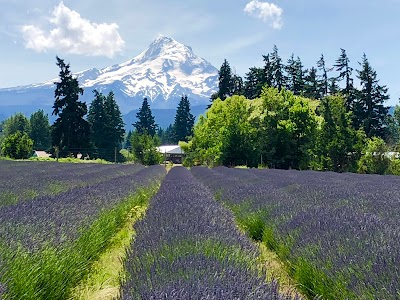 Hood River Lavender Farms