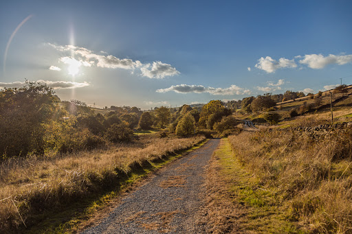 Bronte Country Park - Yorkshire - Thumbnail