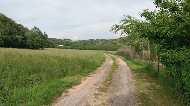 Les Labyrinthes de Hauterives