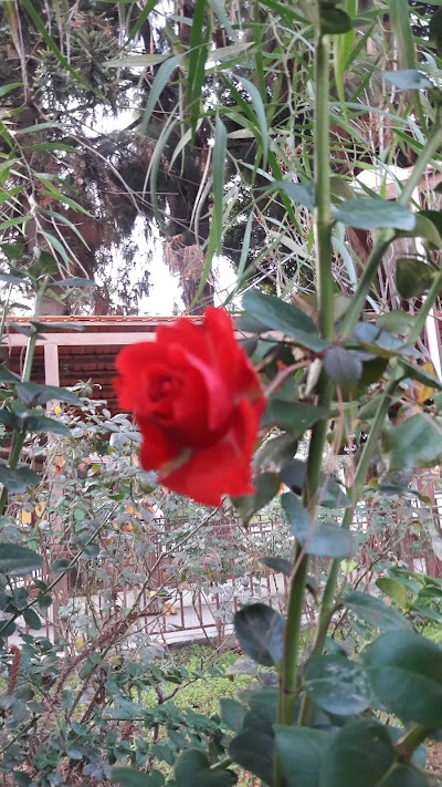 Photos of Faculty of Sciences - Lebanese University