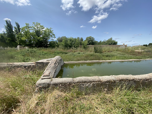 Fuente del Caño Viejo - Thumbnail