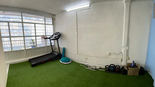 PHYXIUM - Fisioterapia y Rehabilitación (Coyoacán)