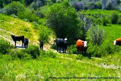 Clearwater Montana Properties, Deer Lodge