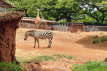 Honolulu Zoo, Honolulu, United States