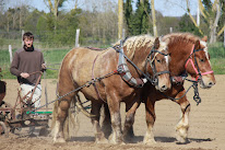 AMAP 100% Villepreux à Villepreux