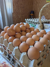 Photo n°13 de Ferme Du Petit Bas Champ à Quend (Ferme d'élevage)