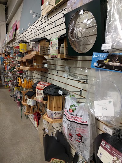 pet-store