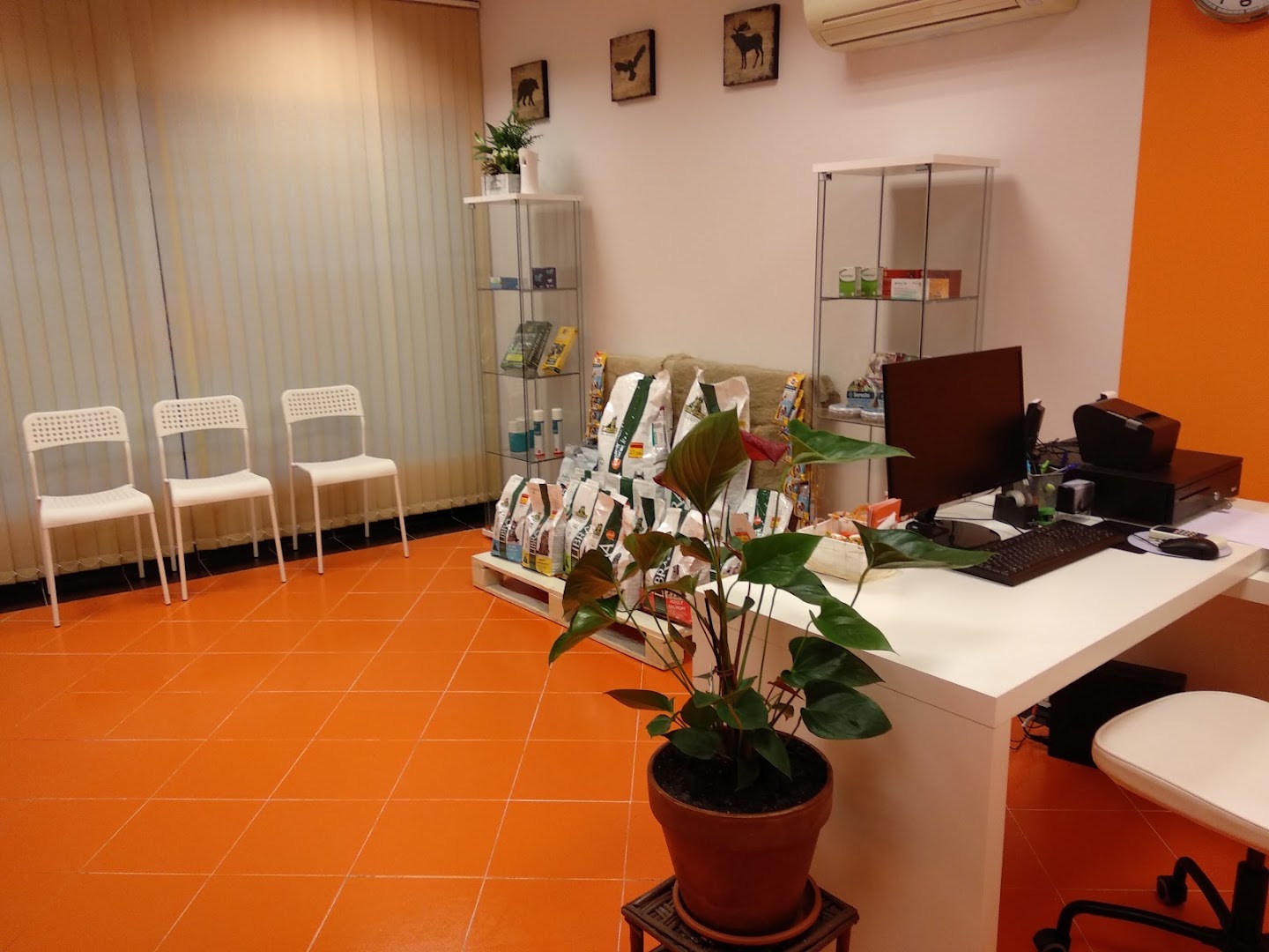 Clinica veterinaria jarama
