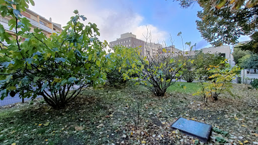 Fruits à partager - Thumbnail