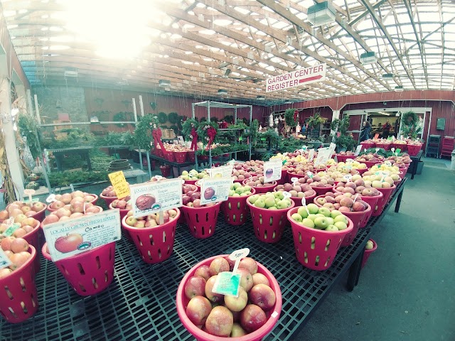 Cherry Hill Orchards Outlet