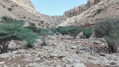 photo of Sha'ib Luha Pool