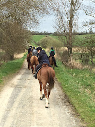 Photo n°11 de RENARDERIE EQUITATION à Noues de Sienne (Service de tours de poneys)