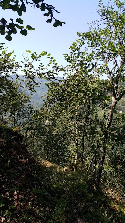 Photos of Oymalitepe Belediyesi