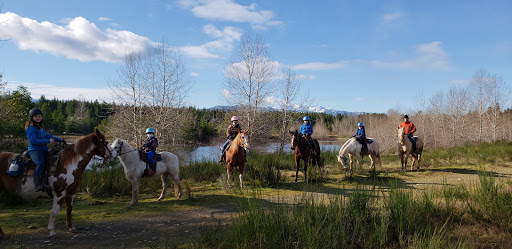 Paradise Acres Ranch - Thumbnail