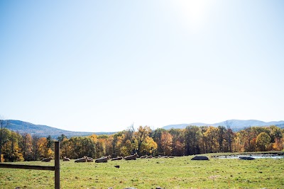 White Gates Farm