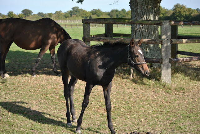 GTV Pays de la Loire